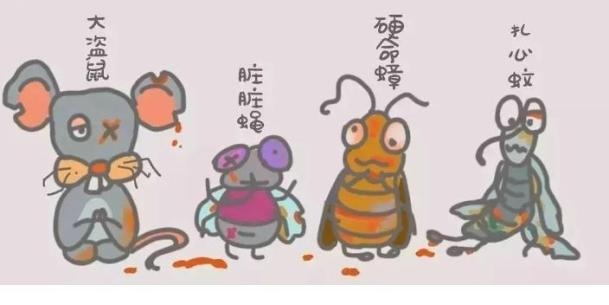 【健康科普】“四害”的危害和防制知识
