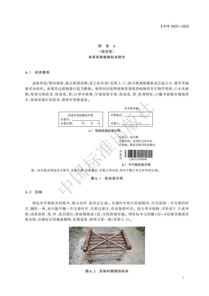 LY-T 3425-2025 林草有害生物标本制作与保藏规范_13.jpg