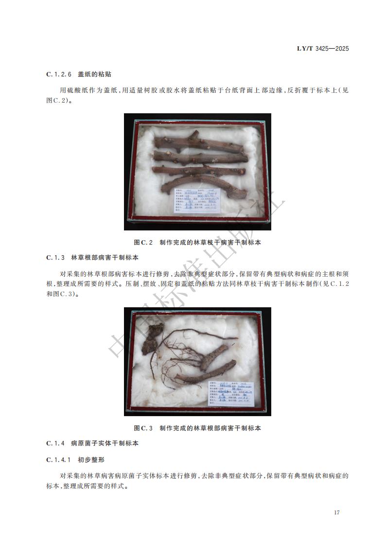 LY-T 3425-2025 林草有害生物标本制作与保藏规范_23.jpg