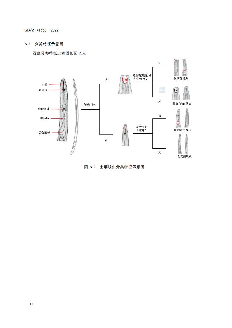 GB-Z 41358-2022 土壤健康综合表征的生物测试方法_14.jpg