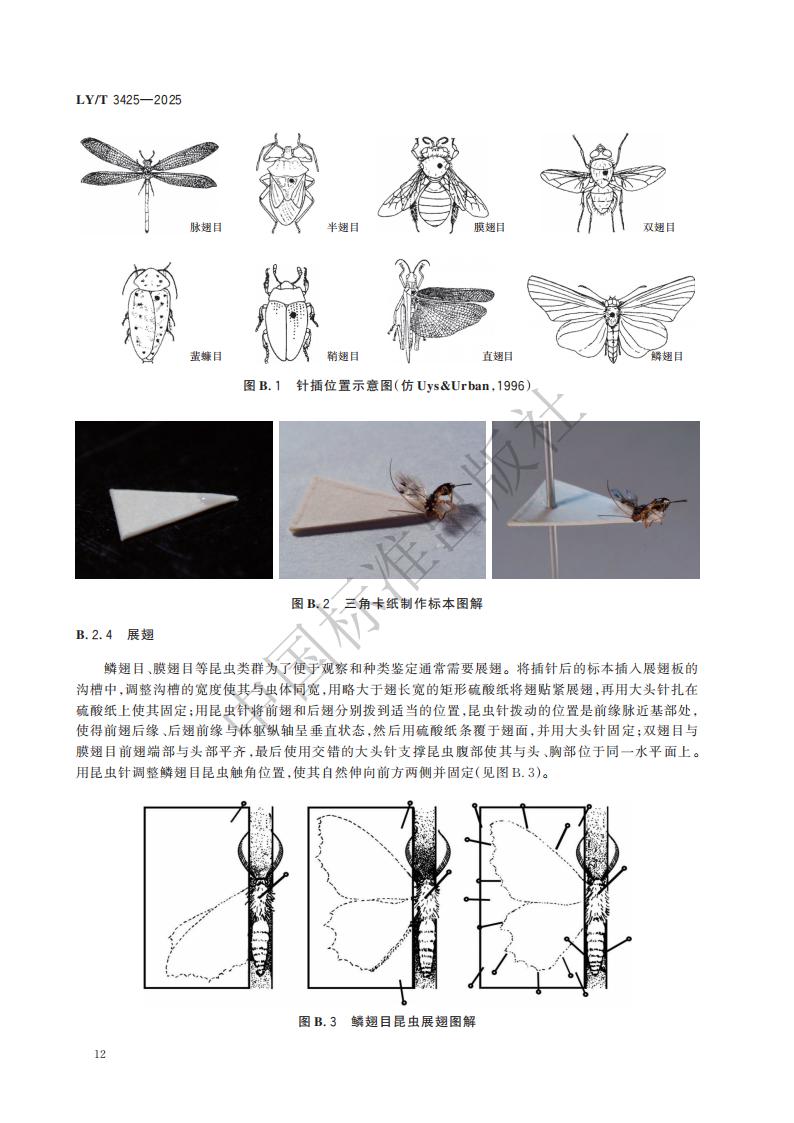 LY-T 3425-2025 林草有害生物标本制作与保藏规范_18.jpg